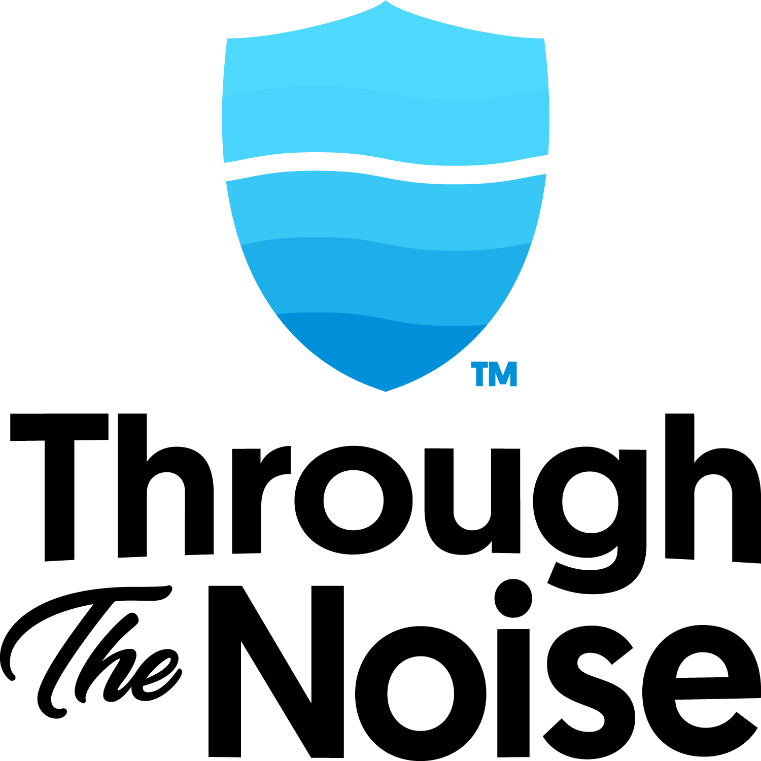 Through the Noise Help Center home page